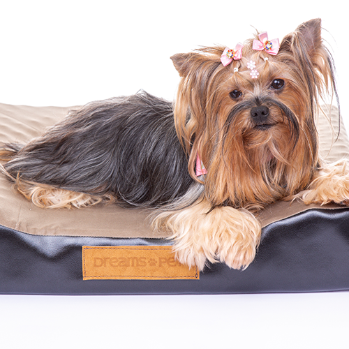 COLCHÃO DREAMS PET SLIM EKO´7